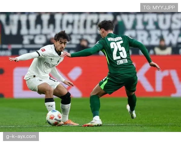 德甲球队阵容结构优化催生战术革新，竞争优势引关注