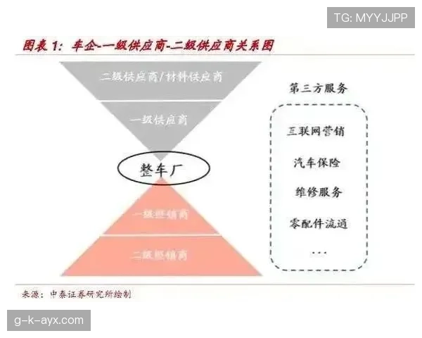 巴尔科拉战术价值与体系适配性分析